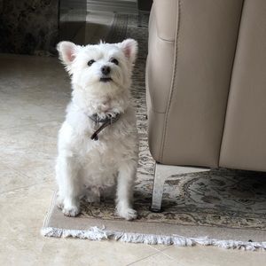 Meet your Posher, Becca